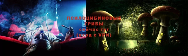 спайс Аркадак