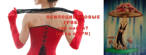 спайс Аркадак