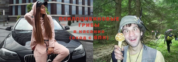 мдпв Арсеньев