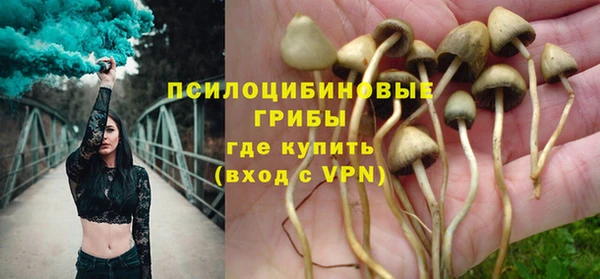 мдпв Арсеньев