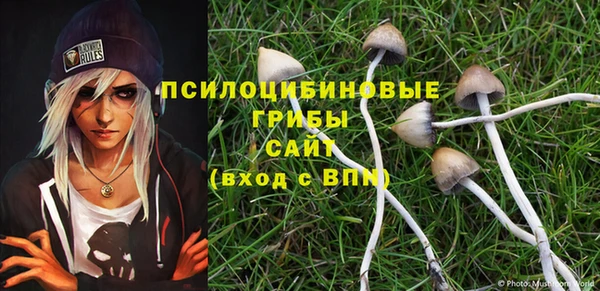 спайс Аркадак