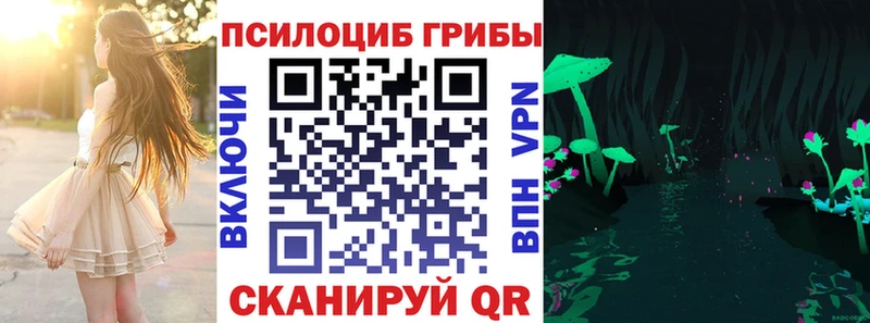 гидра маркетплейс  наркошоп  Могоча  Псилоцибиновые грибы Cubensis 