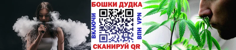 Конопля SATIVA & INDICA  darknet наркотические препараты  Могоча  что такое наркотик 